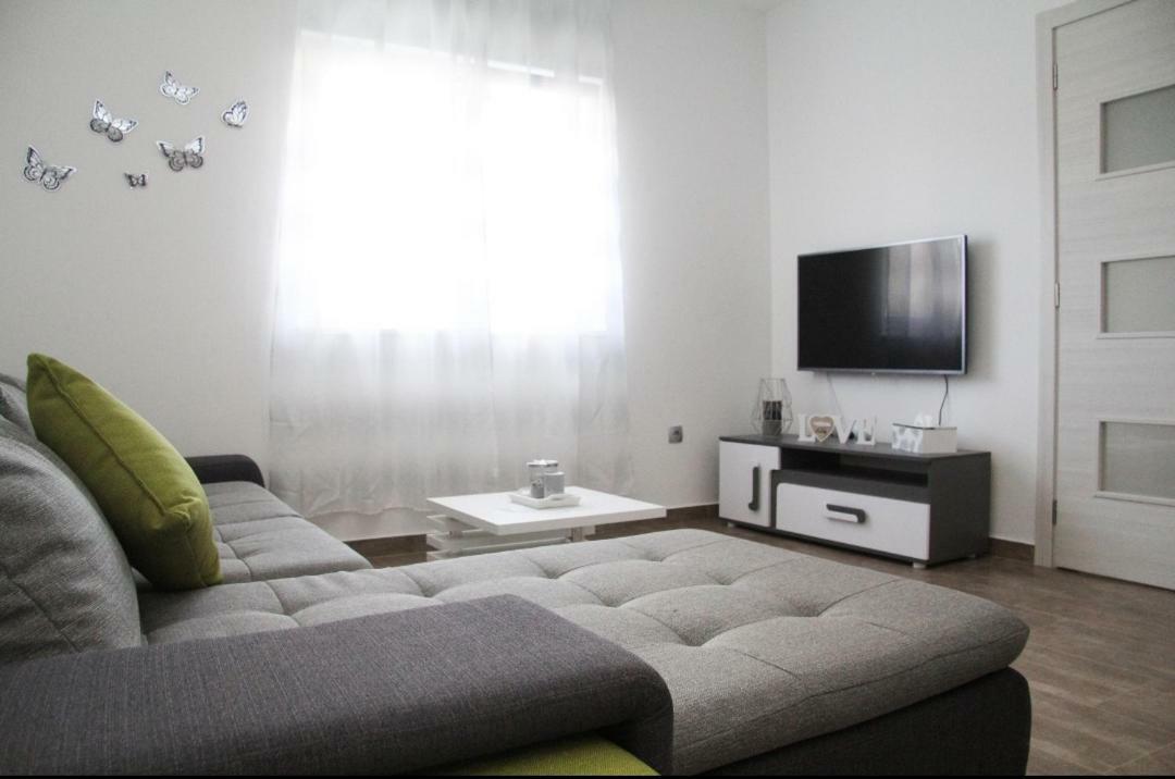 Apartman Ivana 比奥格勒·纳·莫鲁 外观 照片